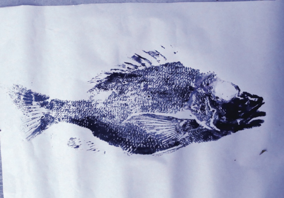Fish printing