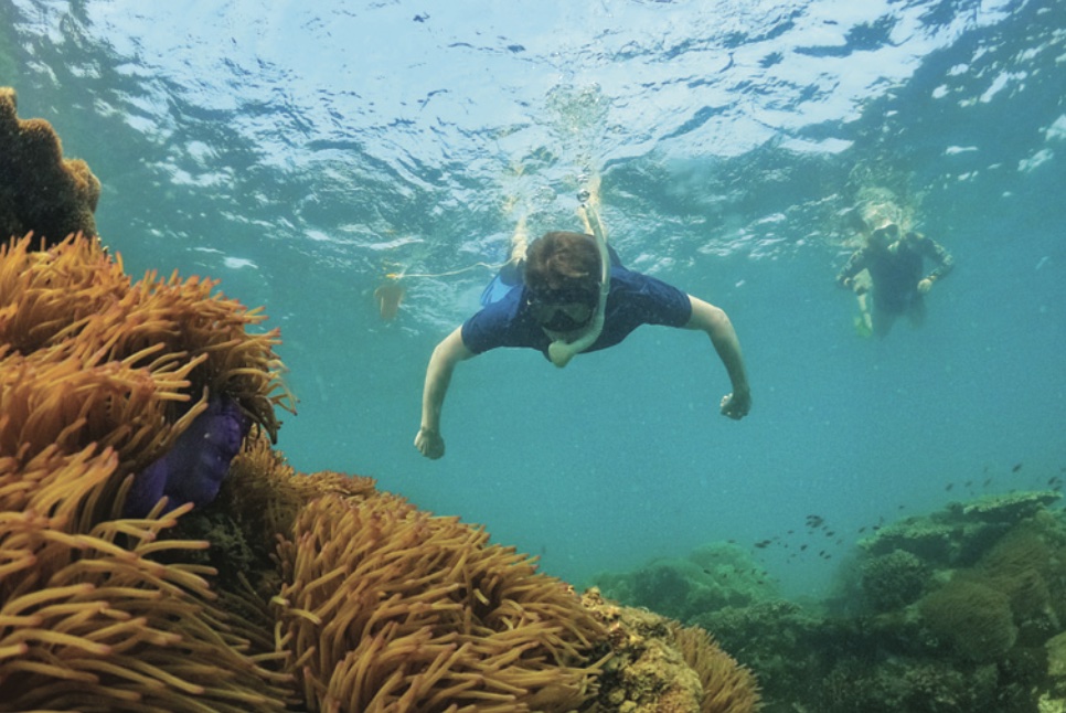 Marine life discovery