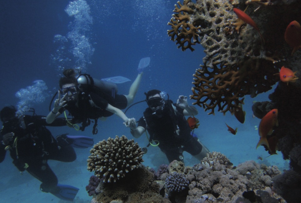 scuba adventure