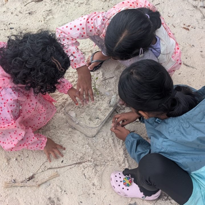 Beach Ecosystem Explorers