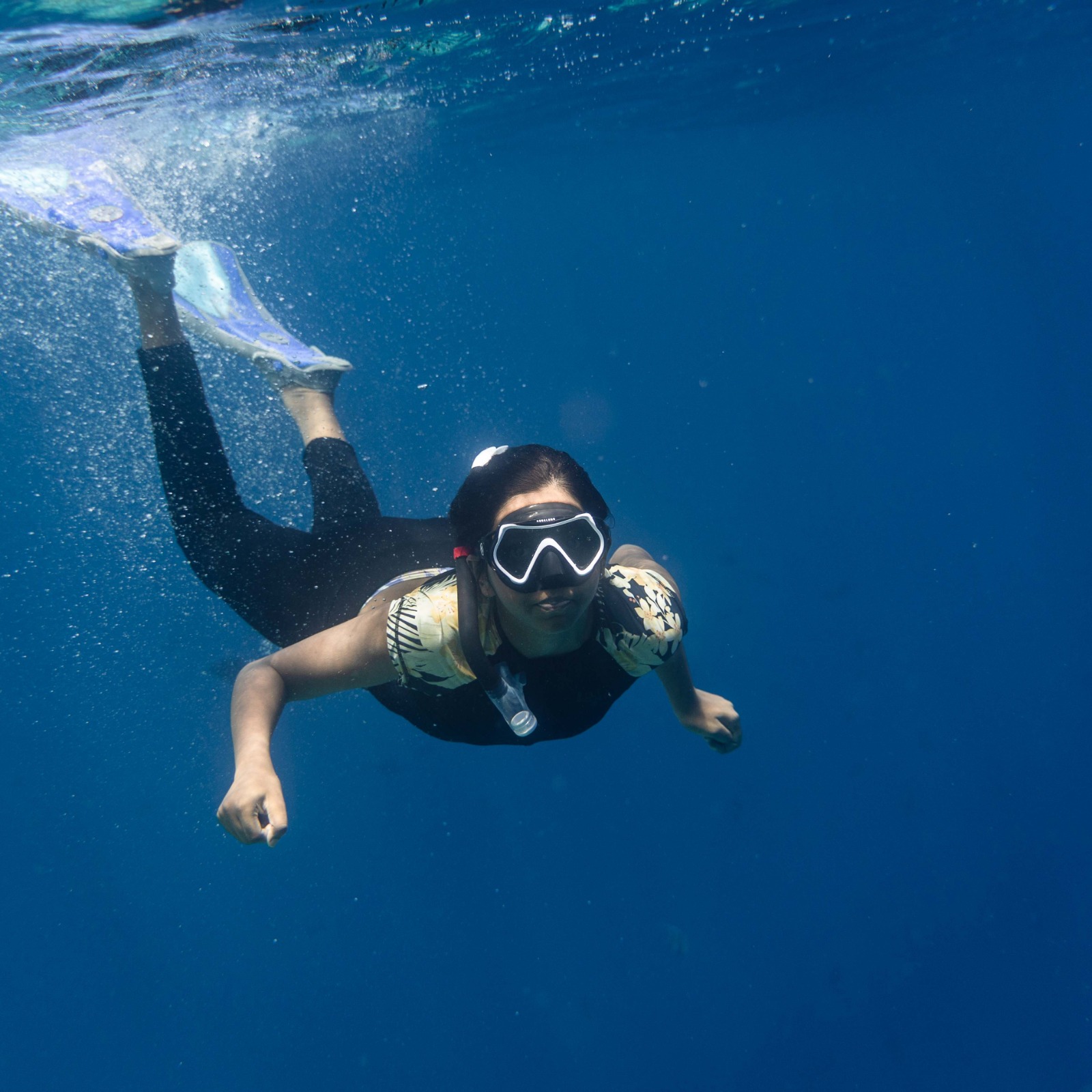 An Immersive  Freediving & Ocean Awareness Session