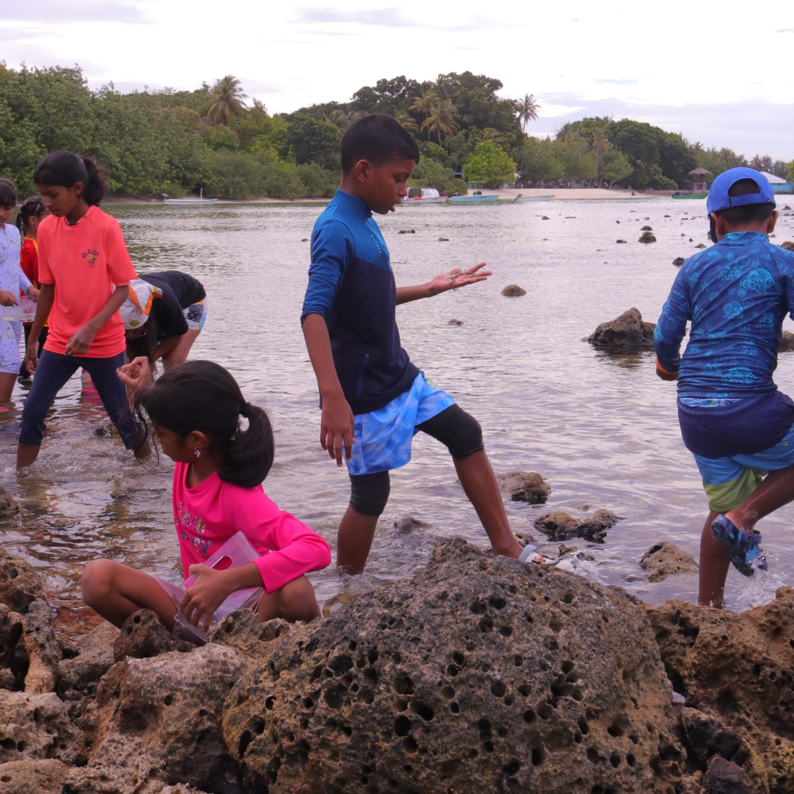 Island Explorers: Family Adventure