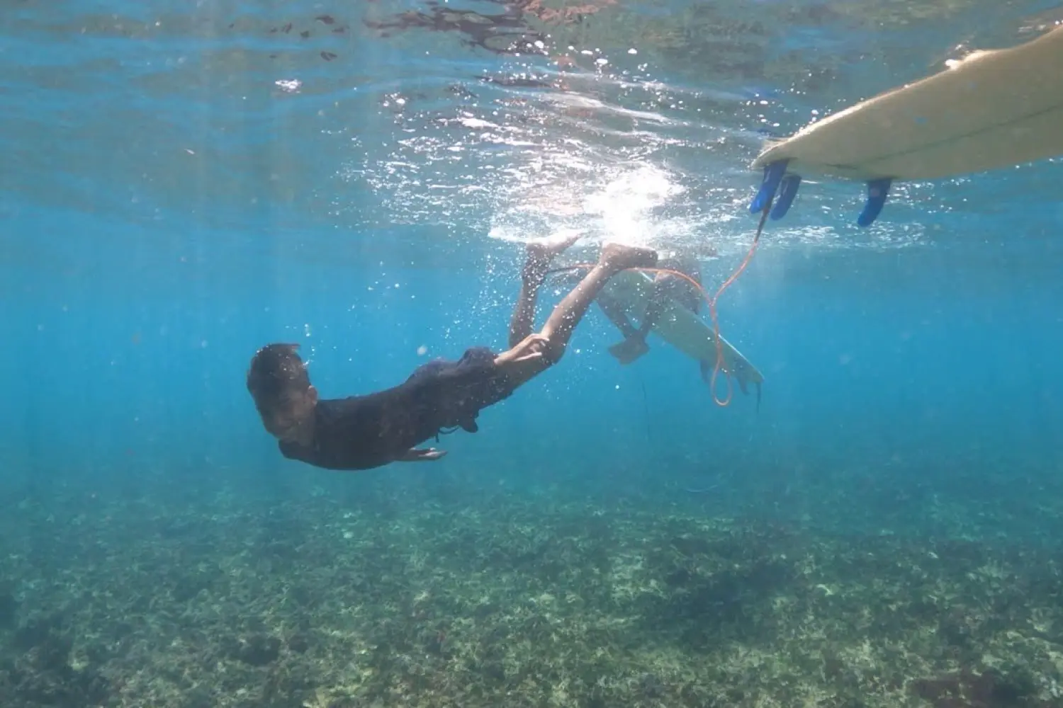 Nature Quest: Ocean Explorer