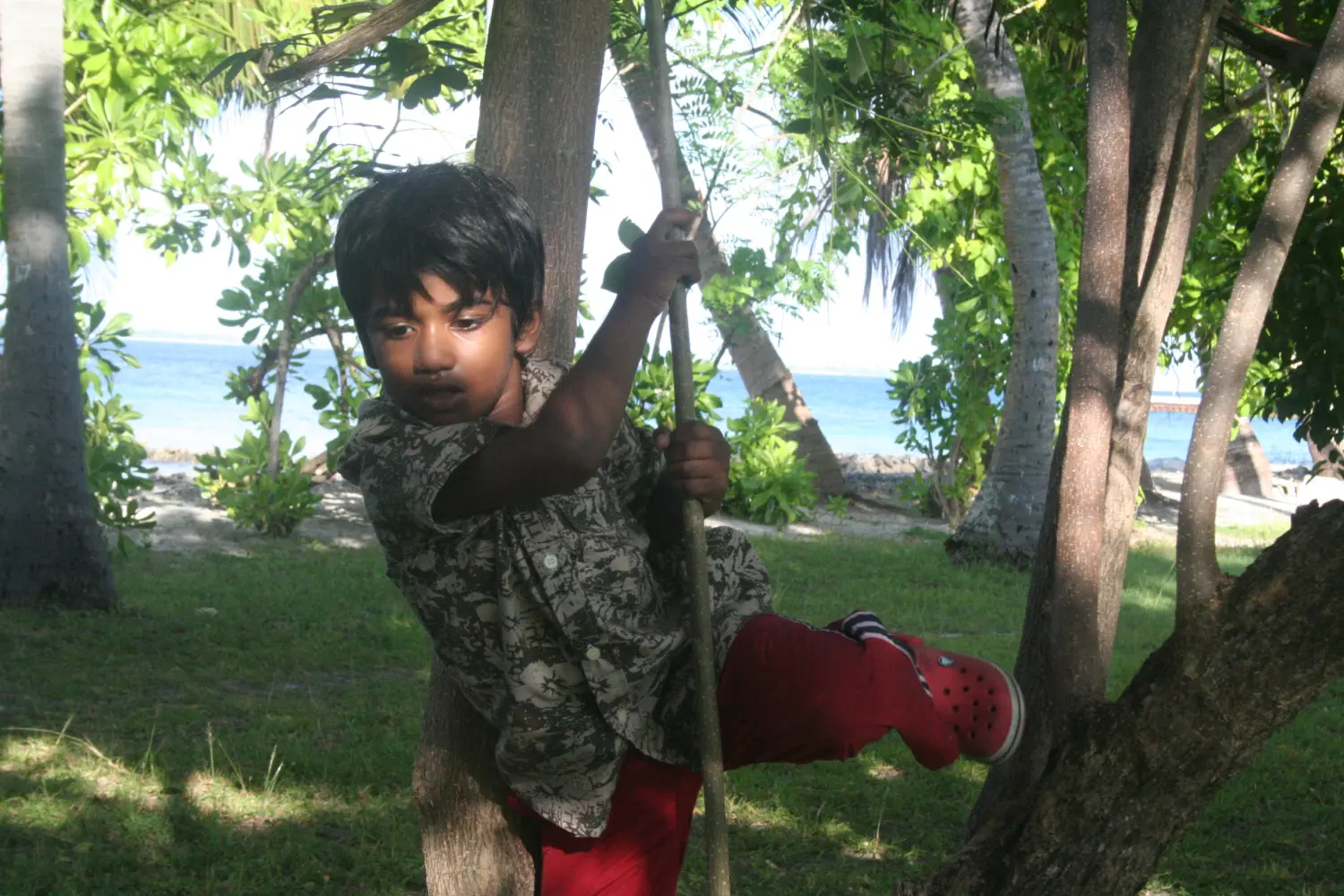 Nature Journaling - Five Senses Adventure