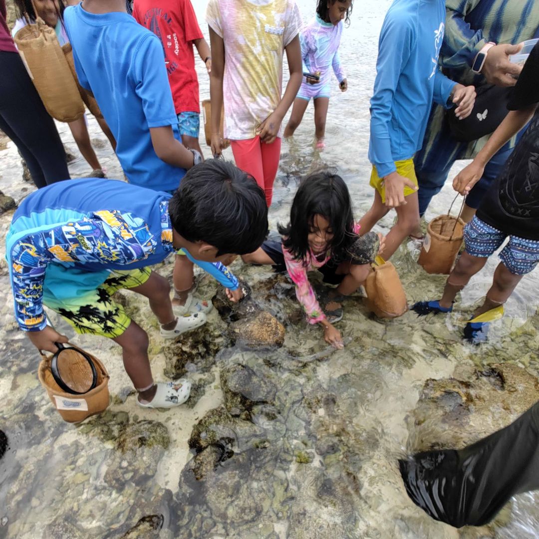 Marine Biology - Intertidal Explorers