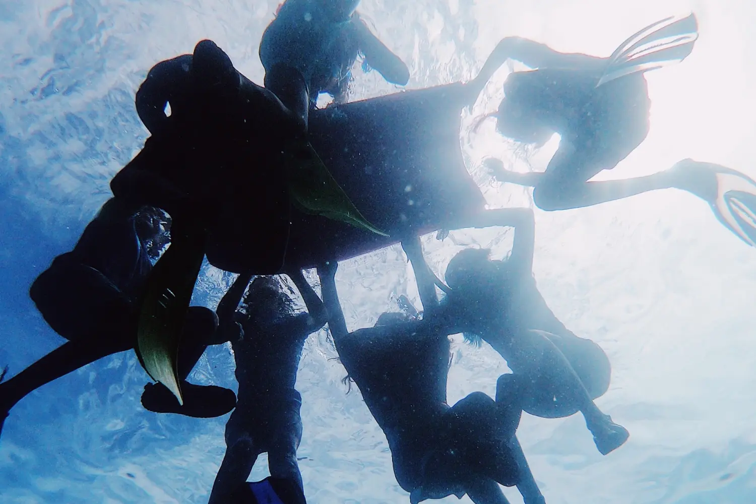 Nature Journaling - Underwater Photography